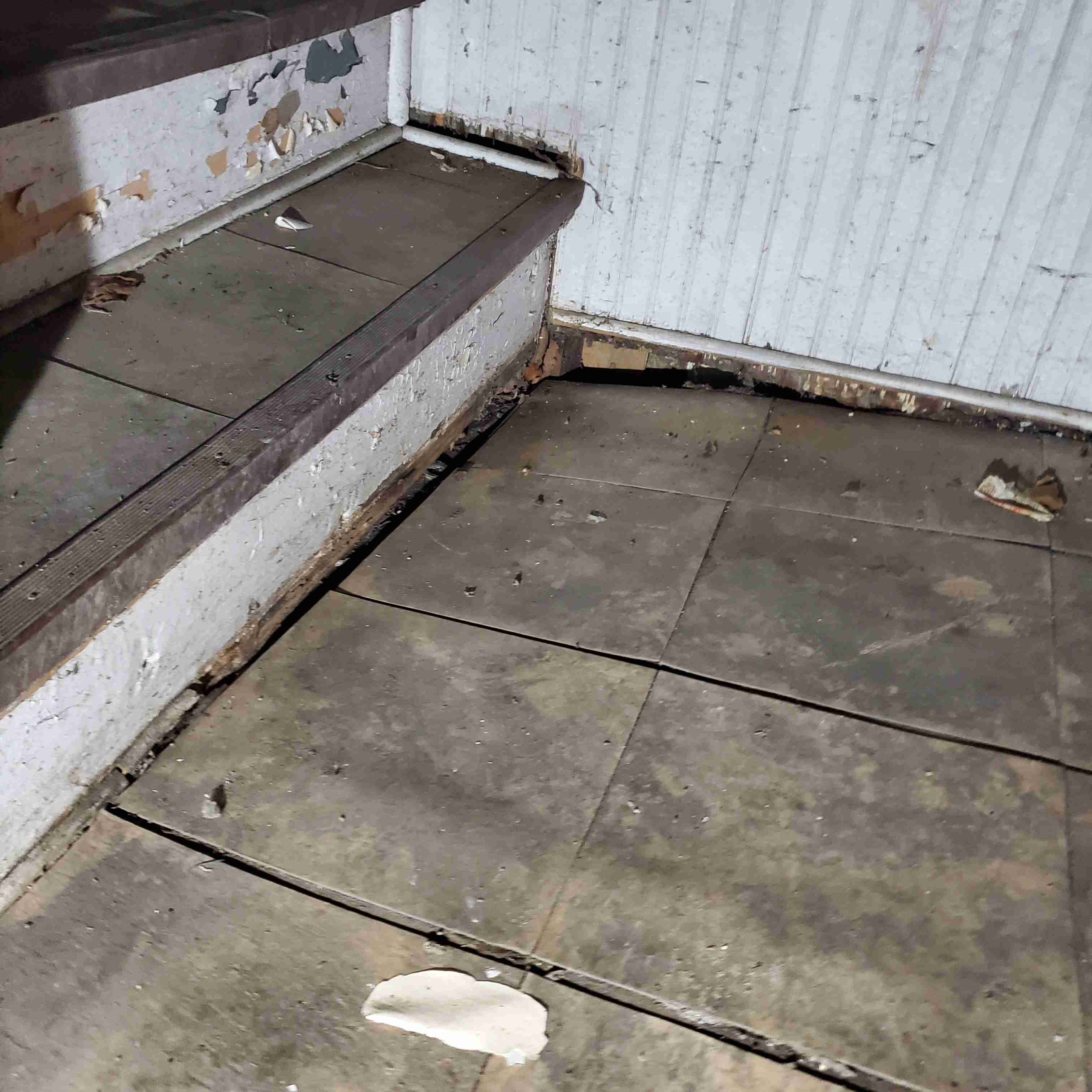 20200812_152451 (2).jpg